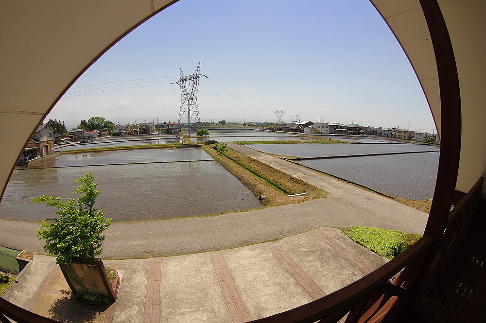 150707-中野邸 (128)